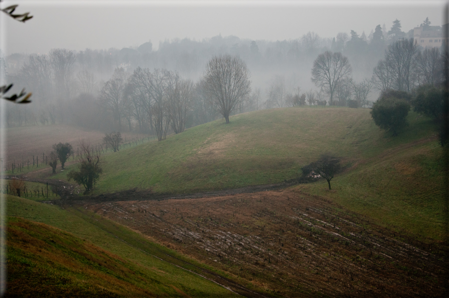 foto Colline di Romano d'Ezzelino nella Nebbia